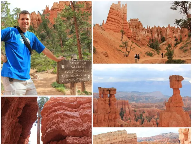 "Griffin's Heritage - Unveiling of Historical Landmarks in Greifswald on 14th September, 2025"