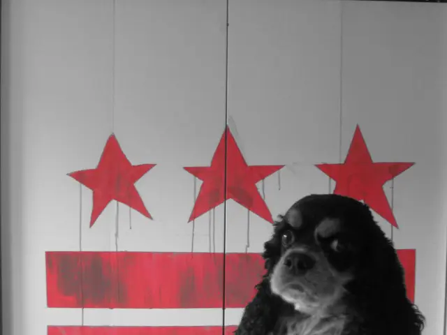 In this picture we can see a dog. Behind the dog, there are paintings on an object.