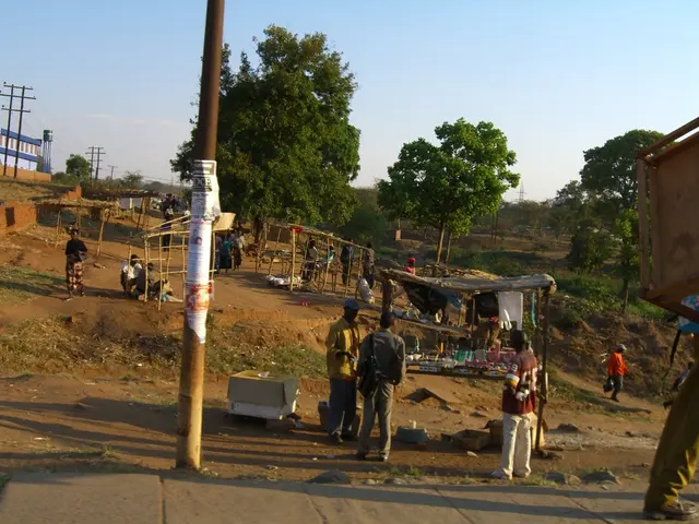 In the image we can see there are many people wearing clothes, this is a pole, trees, electric...