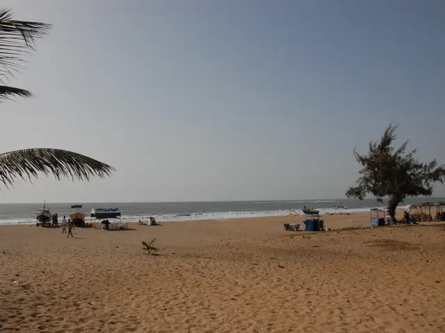 In the image there is a beach in the front and trees on either corner, in the middle there are...